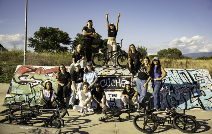 cliche crew wordpress